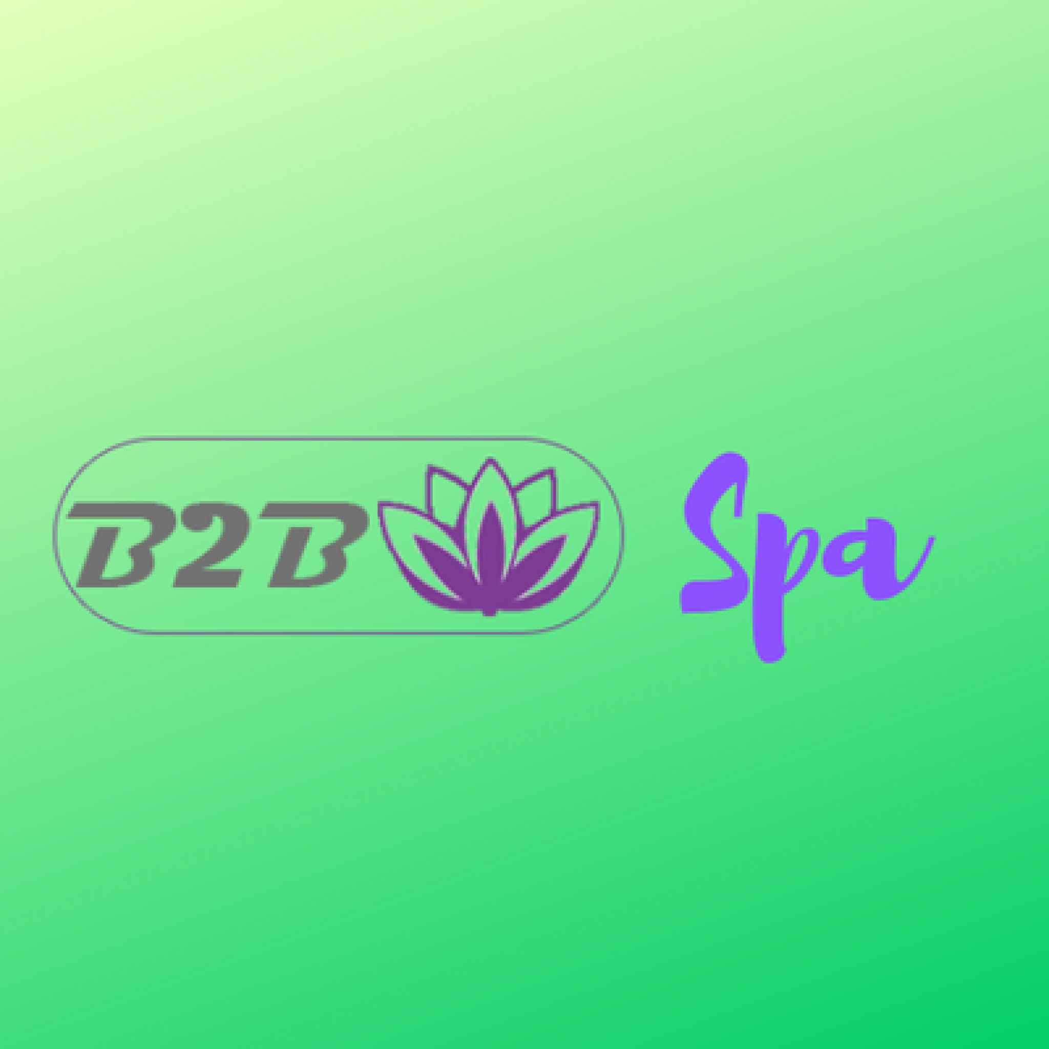 B2B Spa